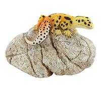 Top Collection Miniature Fairy Garden and Terrarium Leopard Gecko on Rock Statue