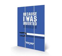 Top Gun Wall Art (Inverted Design) 20cm x 29.5cm - Official Merchandise
