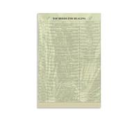 TOP HERBS FOR HEALING Poster The Healing Web Poster Mental Health Wall Art Painting Canvas Wall Art Scroll Picture Print Living Room 16x24inch(40x60cm)