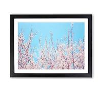 Top Of The Blossom Tree In Abstract Modern Art Framed Print | A4 Black Framed Wall Art | Ready to Hang | Abstract Floral Picture | Living Room Bedroom Lounge Office