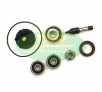 TOP PERFORMANCES Water pump repair kit