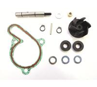 TOP PERFORMANCES Water pump repair kit