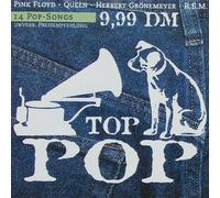 Top Pop Songs (14 Hits, incl. Steamy Windows, Learning To Fly, My Brave Face, Fashion etc.)
