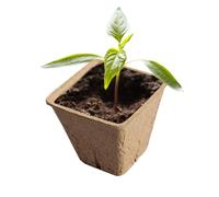 Top Pots, Clumpy Pots for Sämlingbio Top Pots, Clumsy Pots, Small Pots for Planting Kindergarten Husk, Gourmet Flower Starting, Vegeta Growing