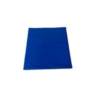 TOP STYLE COLLECTION Memory Foam Pressure Relief Support Cushion for Wheelchair and chair (Blue, 16'' X 18'' X 4")