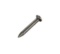 TOP-VIGOR Clout Nails 20mm, 100Pcs 4mm Silver Carpet & Upholstery Tacks