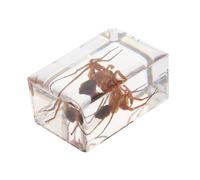 TOPBATHY 1 PC Tarantula Amber Specimen Educational Resin Insect Model for Office Decorations Display for Biology Science Classroom and Home Decor