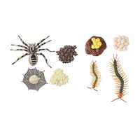 TOPBATHY 2 Sets Tarantula and Life Cycle Models Educational Playthings for Home Decoration Realistic Animal Figurines for Cognitive Learning and Early Childhood Education