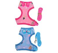 TOPBATHY 2sets Pet Chicken Vest Hen Leash Outdoor Chicken Harness Rooster Pulling Strap for Walking