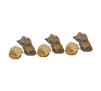 TOPBATHY 3sets Trilobite Specimen Model Decor Educational Paleontology Teaching Props for Science Enthusiasts and Students for Classroom Home Display 2pcs*3