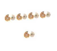 TOPBATHY 5sets Ammonite Specimen Creative Table Adornment for Science Education for Teaching Materials and Home Decor for Paleontology Enthusiasts 2pcs*5