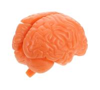 TOPBATHY Disassembled Human Brain Model 3-Piece Anatomical Teaching Tool for Anatomy Study and Educational Display Realistic Brain Structure Model for Psychology and Biology