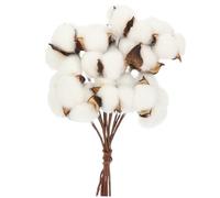 TOPBATHY Dried Natural Dried Cotton Balls Decor Vase Display Home Floral Arrangement