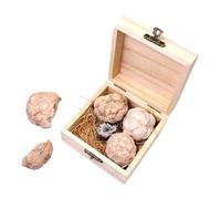 TOPBATHY Gem Dig Kit for Fun Geology Exploration with Natural Crystals Easy to Use Mining Kit for Learning Rock Collection Safe Materials for Family Enjoyment