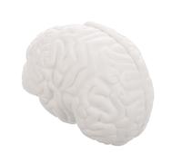 TOPBATHY Human Brain Anatomy Model Detachable Part Brain Structure for Education Medical Learning Resource White Display Model for Students