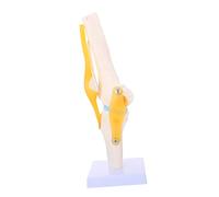 TOPBATHY Human Knee Joint Model Anatomical Skeleton for Medical Teaching Patient Education
