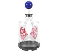 TOPBATHY Lung Breathing Model with Diaphragm Simulation, Pulmonary Ventilation Physiology Teaching Aid, Blue Human Body Organ Demonstration for Biology Education and Homeschool Science
