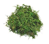 TOPCOMWW Fake Moss for Centerpieces Decor, Aftificial Green Moss for Plant Crafts Flower, 3.5oz