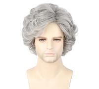 Topcosplay Mens Wigs Short Curly Fluffy Cosplay Halloween Character Costume Wig Layered (Grey)