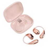 Topiky AI Translation Earbuds, 5.49 Wireless Earphones with 164 Languages Real Time Translation, HiFi Sound Quality Noise Reduction, for Travel Business Meetings (Pink Gold)