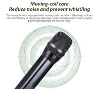 Topiky Professional Wireless Microphone for Home Theater and Singing, Set Consisting of 1 Microphone and 1 Receiver for Church Performances, Black (1 Receiver and 2 Microphone)