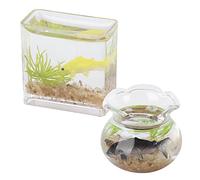 TOPINCN 1:12 Simulation Simulation Miniature Fishing Tanks, Square and Round Doll House Fishing Shells, Bright Color Plastic Tanks for Dollhouse Decor, Suitable for 3+