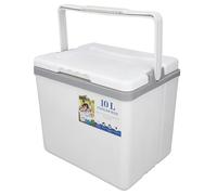 TOPINCN 10L Large Portable Cooler, Insulation Hard Cooler with Sturdy Handle, Ice Chest Lunch Box, Travel Iced Drink Box for Outdoor Camping, Picnic, BBQ, Fishing or Commercial Use (White)