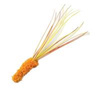 TOPINCN 5Pcs Simulated Reed Grass Cat Wand, High Simulation Dog Tail Grass Cat Teaser with Soft Plush Tip and Flexible Rod, Interactive Toy for Pet Stress Relief Energy Burning Play (Yellow)