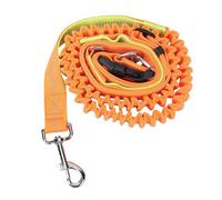 TOPINCN Dog Leash, Bungee Shock Absorbing Nylon Rope for Large Dogs, Pull Control Lock Buckle Reflective Strap for Walking Running Outdoor (Orange Green)