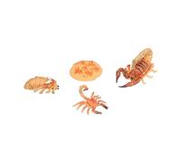 TOPINCN Scorpion Life Cycle Kit Educational Life Stages Toy Set for Kids with Plastic Figurines for Nature Lessons and Home Decor Suitable Age 3+ Years (Scorpion growth cycle 2)