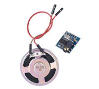 TOPINCN SYN6288 Speech Synthesis Module with Natural Chinese Voice for Car Terminal Voice Broadcast and Electronic Products, 1 X Sound Module for Mobile Phone and Electronic Products