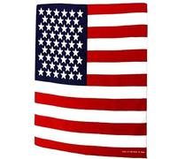 Topkids Accessories Black Bandanas Headband Skull Pirate Hair Scarf Men Women Motorbike Mask Gothic Alternative Clothing Crossbones Motorcycle Cotton Headscarf (USA Flag)