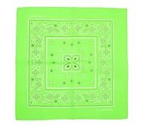Topkids Accessories Paisley Bandanas Hair Bands Headbands Women Men Dogs Head Bands Festival Bike Accessories Face Masks Holiday Essentials Head Scarf (Neon Green)