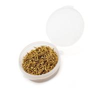 Toplionace Brass Pointed Nails for Ship Model Making, Auxiliary Tools for Ship Hulls, Length 10 mm, Approx. 1000 Pieces