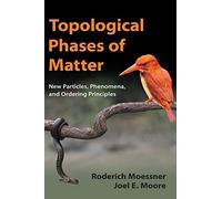 Topological Phases of Matter