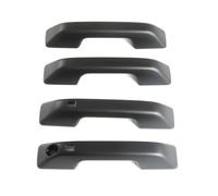 TOPOLVLCKC for B&YD for Shark 6 2025 Only LHD! Car Accessories Plastic Side Door Handle Sticker Cover Trim Car Exterior Door Handles(Door Handle Matte)