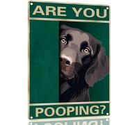 TopPacific Flat-Coated Retriever Vintage Metal Tin Sign Are You Pooping Sign Bathroom Funny Art Poster Decoration Toilet Cave Bar Home Bathroom Wall Decoration Sign 12x8 Inch(1847)