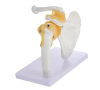 TOPPERFUN 1Pc Model with Ligament Human Shoulder Joint Teaching Model for Structure for Schools and Hospitals Anatomical Skeleton Display Tool