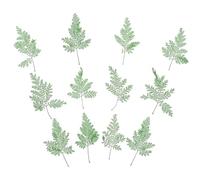 TOPPERFUN 48Pcs Natural Green Pressed Dried Leaves for DIY Crafts Handmade Bookmarks Resin Phone Case Nail Art Decoration Multi-function Plant Material for Home Party Stationery