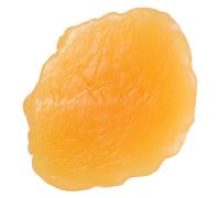 TOPPERFUN Human Body Fat Model 1 Lb Realistic Fatty Tissue Anatomical Demonstration Tool for Science Education and Nutrition Training