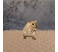 TOPPERFUN Pet Dirty Mat Absorbent Hamster Bedding Reusable Rabbit Bedding for Small Pets Guinea Pig Cage Liner Washable Indoor Use