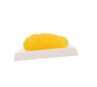 TOPPERFUN Realistic Human Fat Model for Anatomy Study and Weight Loss Motivation Fat Demonstration Device with Detailed Texture for Nutritionists and Students