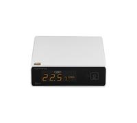 TOPPING E30 II Dual AK4493S Decoder DAC XU208 32bit/768k DSD512 Touch Operation with Remote Control Hi-Res Decoder (Silver)