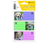 TopStick 1343 Book Labels, 3 Labels Per Sheet, 76 x 35 mm, 15 Labels, Self Adhesive, School Stickers for Hand Labelling, Coloured