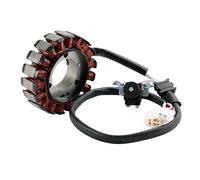 Topteng Stator Generator 22B-H1410-00 3C1-H1410-11 fit for Yamaha WR125R WR125X 2009-2017, fit for Yamaha MT125 2015-2016, fit for Yamaha YZF-R 125 2014-2018