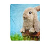Topyee 130x150 cm Throw Blanket Gray Bunny Baby Rabbit in Grass Green Cute Wildlife Warm Cozy Print Flannel Home Decor Comfortable Blanket for Couch Sofa Bed
