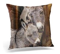 Topyee Cushion Cover Mother and Her Baby Adorable Closeup of Miniature Donkey 45x45cm/18x18 Inch Home Decor Throw Pillow Cover Square Pillowcase for Bed Sofa