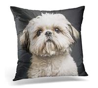 Topyee Cushion Cover Puppy Shih Tzu in Studio Dark Animal Beautiful Canine 45x45cm/18x18 Inch Home Decor Throw Pillow Cover Square Pillowcase for Bed Sofa