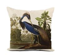 Topyee Throw Pillow Cover 20x20 Inch Audubon Blue Louisiana Heron Bird Drawing Nature Vintage Home Decor Pillowcases Square Pillow Cases Cushion Covers for Sofa Couch Bed