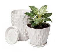 TOQUE Plant Pots,5Pc 8 Inch Plant Pots Indoor,Drainage,PP Plastic,White